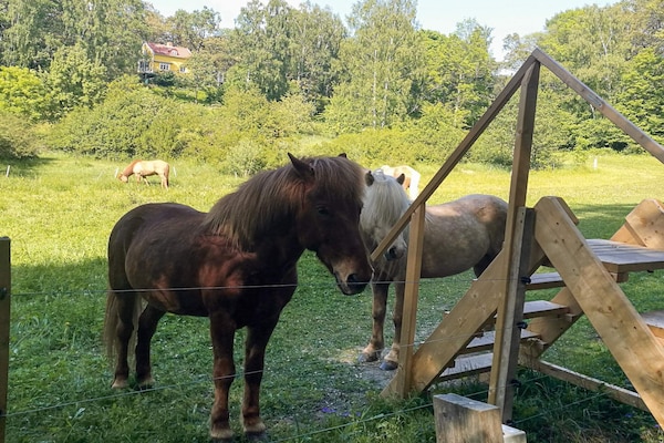 Foto van 4 sterren vakantie huis in INGARÖ - Vakantiehuis in INGARÖ - Untagged