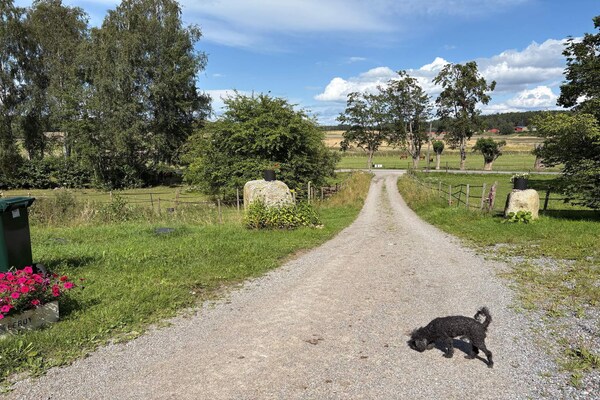 Foto van 4 Personen vakantie huis in ADELSÖ - Vakantiehuis in ADELSÖ - Untagged