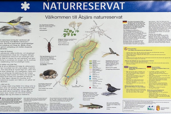 Foto van 4 sterren vakantie huis in YNGSJÖ, SVERIGE - Vakantiehuis in YNGSJÖ, SVERIGE - Untagged
