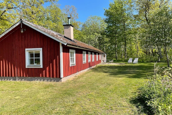 Foto van 6 Personen vakantie huis in ROCKNEBY - Vakantiehuis in ROCKNEBY - Outdoor