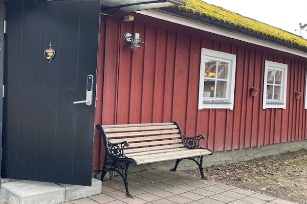 Foto van 6 Personen vakantie huis in ROCKNEBY - Vakantiehuis in ROCKNEBY - Outdoor