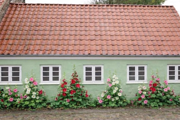Foto van 4 sterren vakantie huis in Ringkøbing - Vakantiehuis in Ringkøbing - Outdoor