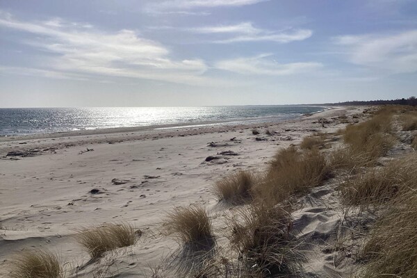 Foto van 5 sterren vakantie huis in Væggerløse - Vakantiehuis in Væggerløse - Outdoor