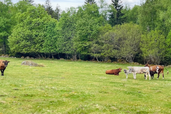 Foto van 6 Personen vakantie huis in ÄLMHULT - Vakantiehuis in ÄLMHULT - Outdoor