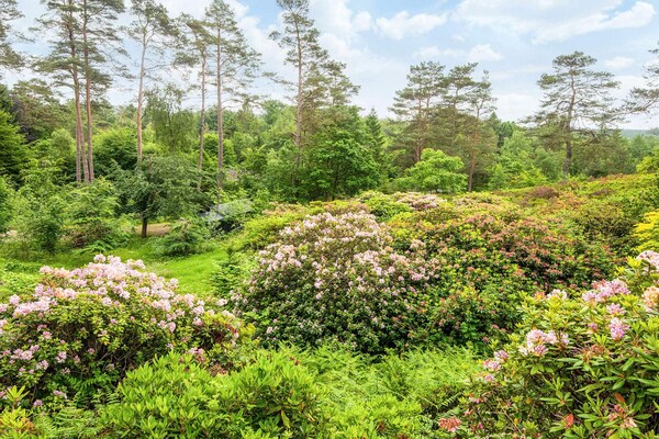 Foto van 4 sterren vakantie huis in Silkeborg - Vakantiehuis in Silkeborg - View