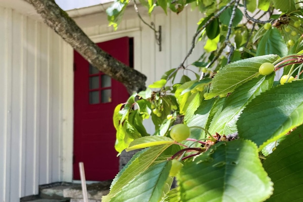 Foto van 8 Personen vakantie huis in MÖRBYLÅNGA - Vakantiehuis in MÖRBYLÅNGA - Outdoor