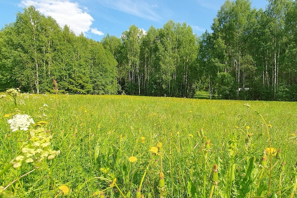 Foto van 5 sterren vakantie huis in LIKENÄS - Vakantiehuis in LIKENÄS - Outdoor