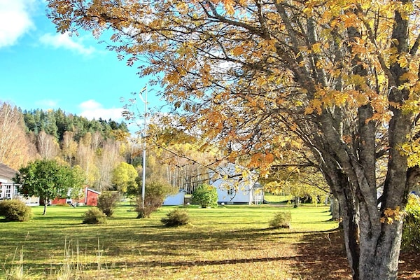 Foto van 5 sterren vakantie huis in LIKENÄS - Vakantiehuis in LIKENÄS - Outdoor