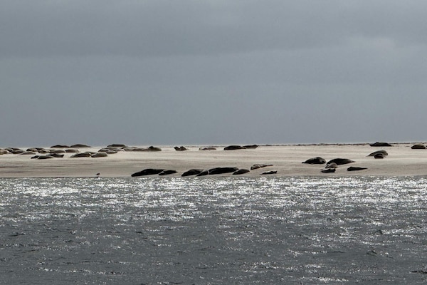 Foto van 7 persoons vakantie huis in Fanø-By Traum - Vakantiehuis in Fanø - WaterView