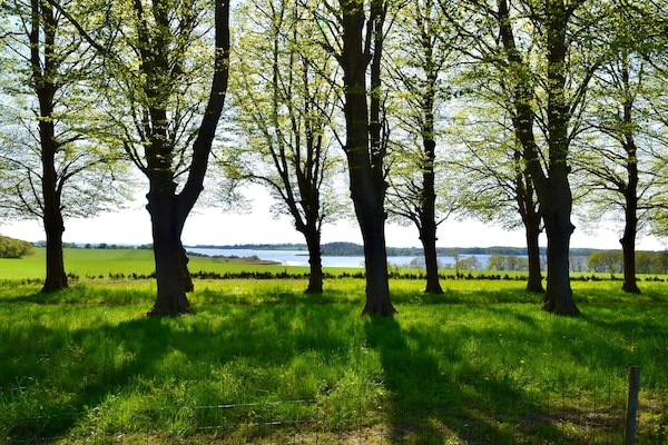 Foto van 5 persoons vakantie huis in Rude-By Traum - Vakantiehuis in Rude - WaterView