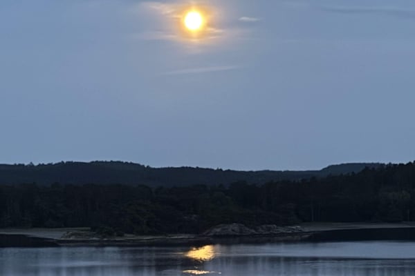 Foto van 5 sterren vakantie huis in UDDEVALLA - Vakantiehuis in UDDEVALLA - Outdoor