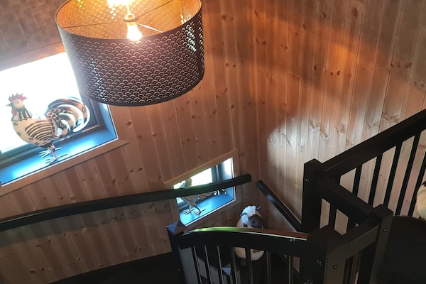 Foto van 4 sterren vakantie huis in Hovden - Vakantiehuis in Hovden - Indoor