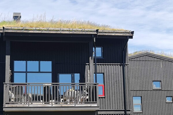 Foto van 4 sterren vakantie huis in Hovden - Vakantiehuis in Hovden - Outdoor