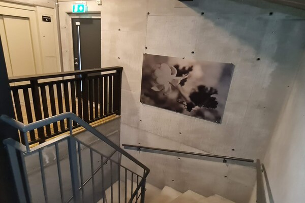 Foto van 4 sterren vakantie huis in Hovden - Vakantiehuis in Hovden - Outdoor