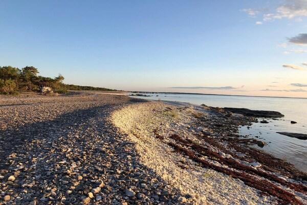 Foto van 4 sterren vakantie huis in Fårö - Vakantiehuis in Fårö - Untagged