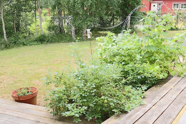 Foto van 5 sterren vakantie huis in FALKENBERG - Vakantiehuis in FALKENBERG - Outdoor