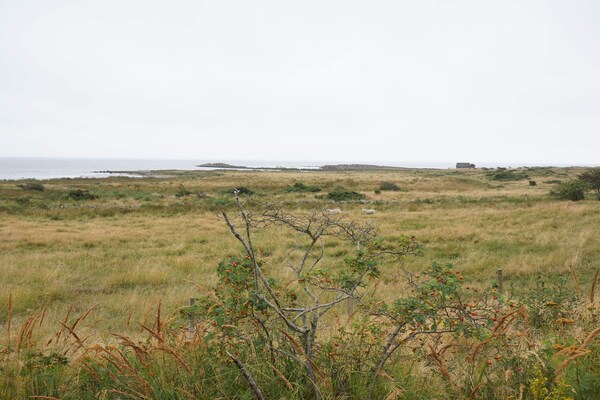 Foto van 5 sterren vakantie huis in FALKENBERG - Vakantiehuis in FALKENBERG - Untagged