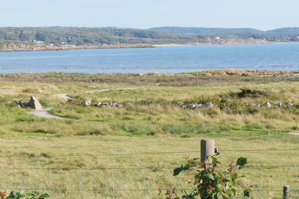 Foto van 5 sterren vakantie huis in FALKENBERG - Vakantiehuis in FALKENBERG - Untagged