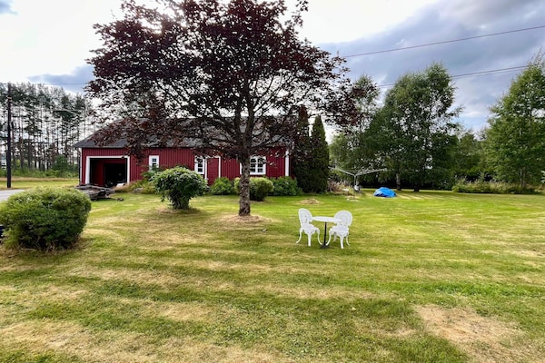 Foto van 4 sterren vakantie huis in Hornnes - Vakantiehuis in Hornnes - Outdoor