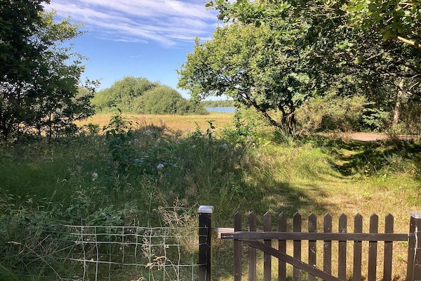 Foto van 6 Personen vakantie huis in Ansager - Vakantiehuis in Ansager - View