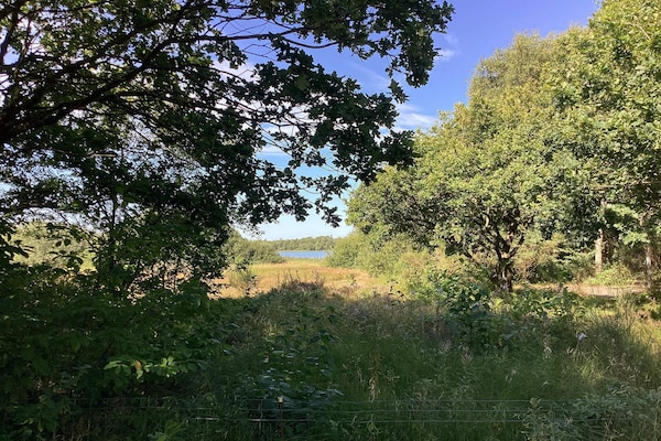 Foto van 6 Personen vakantie huis in Ansager - Vakantiehuis in Ansager - View