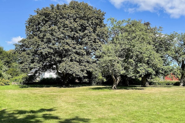 Foto van 6 Personen vakantie huis in Gullbrandstorp - Vakantiehuis in Gullbrandstorp - Outdoor