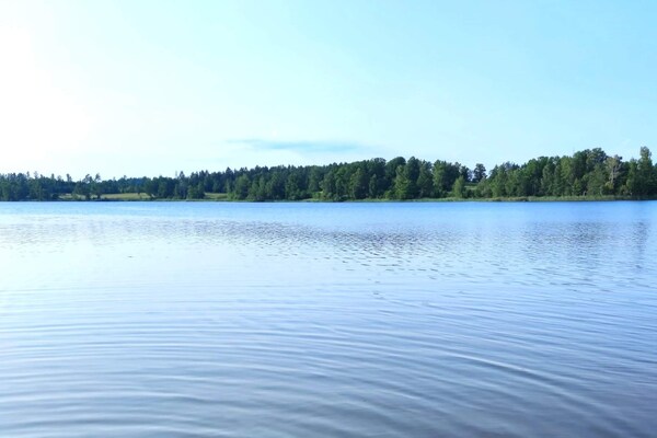 Foto van 4 sterren vakantie huis in MALMKÖPING - Vakantiehuis in MALMKÖPING - Outdoor