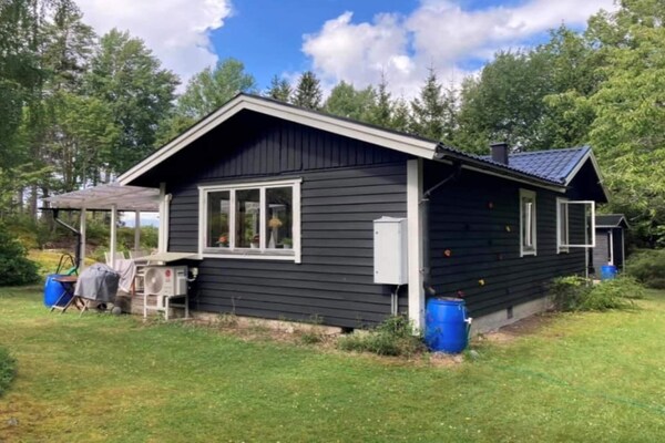 Foto van 4 sterren vakantie huis in MALMKÖPING - Vakantiehuis in MALMKÖPING - Outdoor