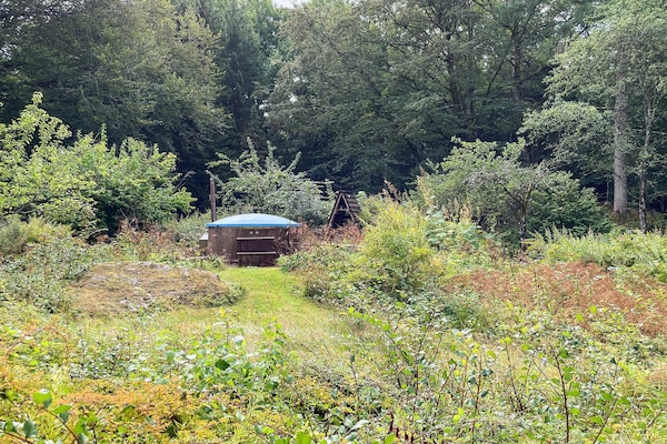 Foto van 5 sterren vakantie huis in KNÄRED - Vakantiehuis in KNÄRED - Outdoor