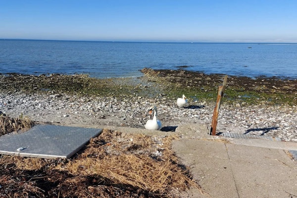 Foto van Luxe vakantieverblijf met zwembad - Vakantiehuis in Bogense - WaterView
