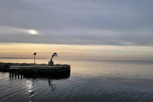 Foto van Luxe vakantieverblijf met zwembad - Vakantiehuis in Bogense - WaterView