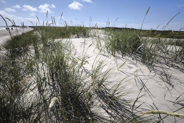 Foto van Luxe spa-resort aan de golfbaan - Vakantiehuis in Ålbæk - Untagged
