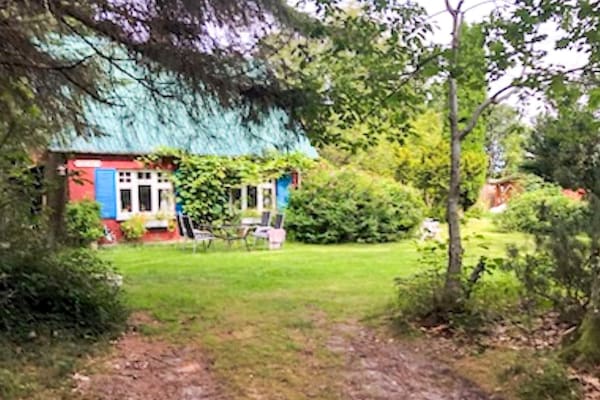 Foto van 6 persoons vakantie huis in Brædstrup-By Traum - Vakantiehuis in Brædstrup - Outdoor