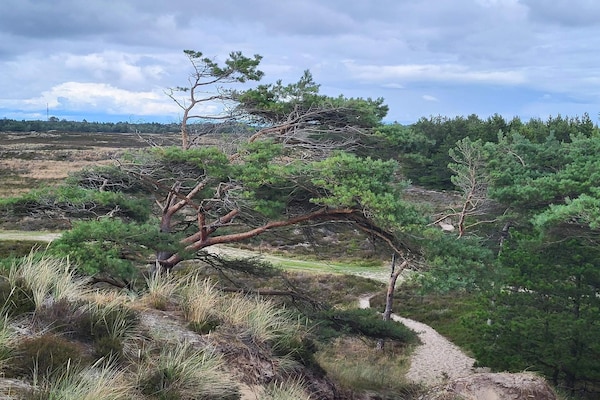 Foto van 6 persoons vakantie huis in Rømø-By Traum - Vakantiehuis in Rømø - Untagged