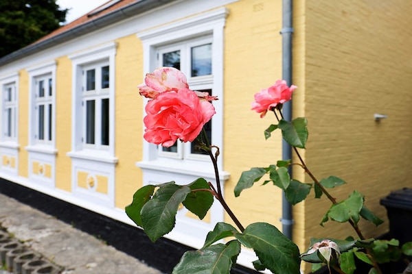 Foto van Schilderachtig toevluchtsoord met haard en terras - Vakantiehuis in Marstal - View