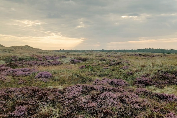 Foto van Rustig toevluchtsoord in de natuur -- By Traum Ferienwohnungen - Untagged