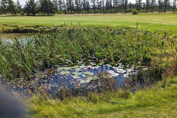 Foto van 7 persoons vakantie huis in Løkken-By Traum - Vakantiehuis in Løkken - WaterView