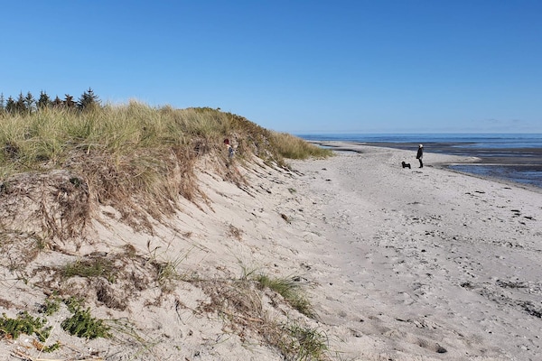 Foto van 6 persoons vakantie huis in Storvorde-By Traum - Vakantiehuis in Storvorde - WaterView