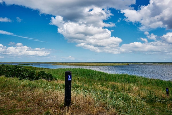 Foto van 6 persoons vakantie huis in Storvorde-By Traum - Vakantiehuis in Storvorde - WaterView