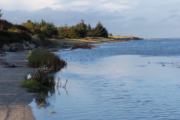 Foto van 6 persoons vakantie huis in Storvorde-By Traum - Vakantiehuis in Storvorde - WaterView