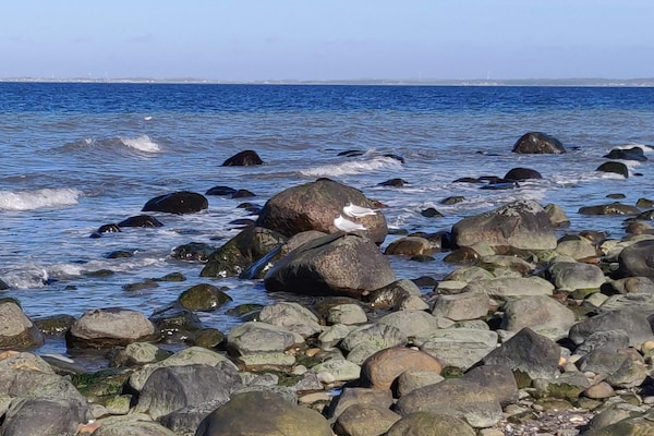 Foto van Luxe toevluchtsoord in Hornbaek -- By Traum Ferienwohnungen - WaterView