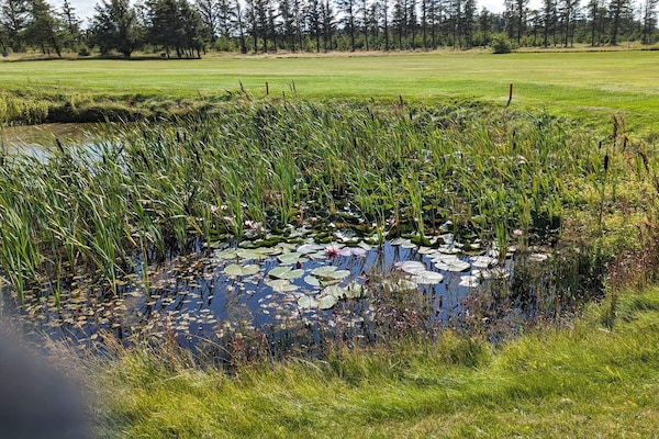 Foto van 6 persoons vakantie huis in Løkken-By Traum - Vakantiehuis in Løkken - WaterView