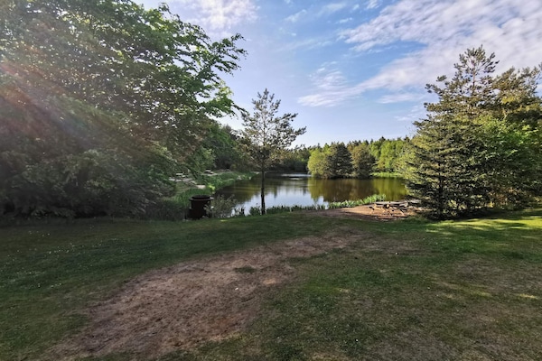 Foto van 6 persoons vakantie huis in Oksbøl-By Traum - Vakantiehuis in Oksbøl - WaterView