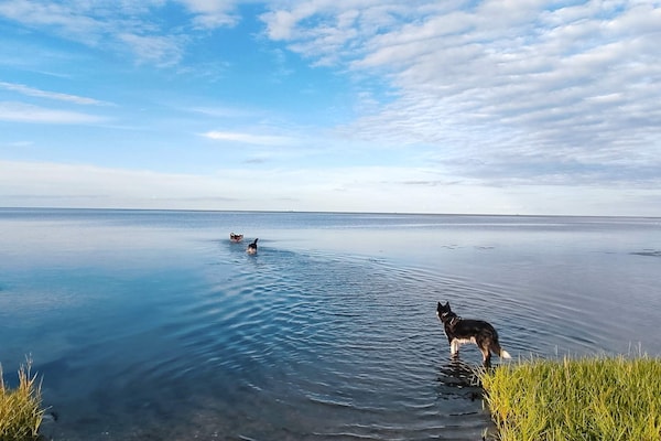 Foto van Verblijf aan zee met zwembad - Vakantiehuis in Ørsted - WaterView
