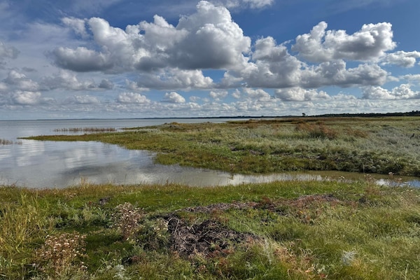 Foto van Verblijf aan zee met zwembad - Vakantiehuis in Ørsted - WaterView