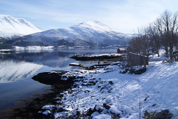 Foto van 6 persoons vakantie huis in Gullesfjord - Vakantiehuis in Gullesfjord - Untagged
