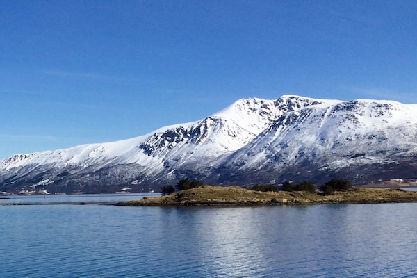 Foto van 6 persoons vakantie huis in Gullesfjord - Vakantiehuis in Gullesfjord - Untagged