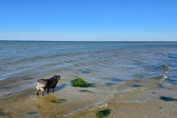 Foto van Luxe strandhuis met zwembad - Vakantiehuis in Nordborg - WaterView