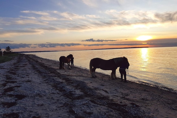 Foto van Luxe vakantieverblijf met zwembad - Vakantiehuis in Bogense - WaterView