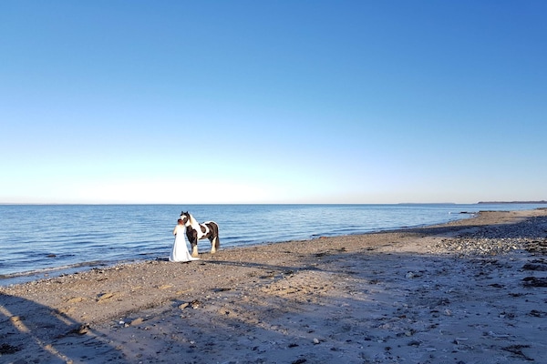 Foto van Luxe vakantieverblijf met zwembad - Vakantiehuis in Bogense - WaterView